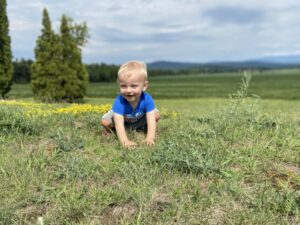 Small child crawling on grass