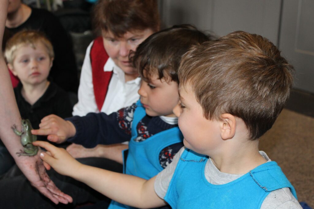 Young children look curiously at a frog