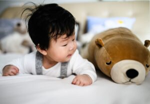 Infant on belly lifting head and looking at stuffed animal