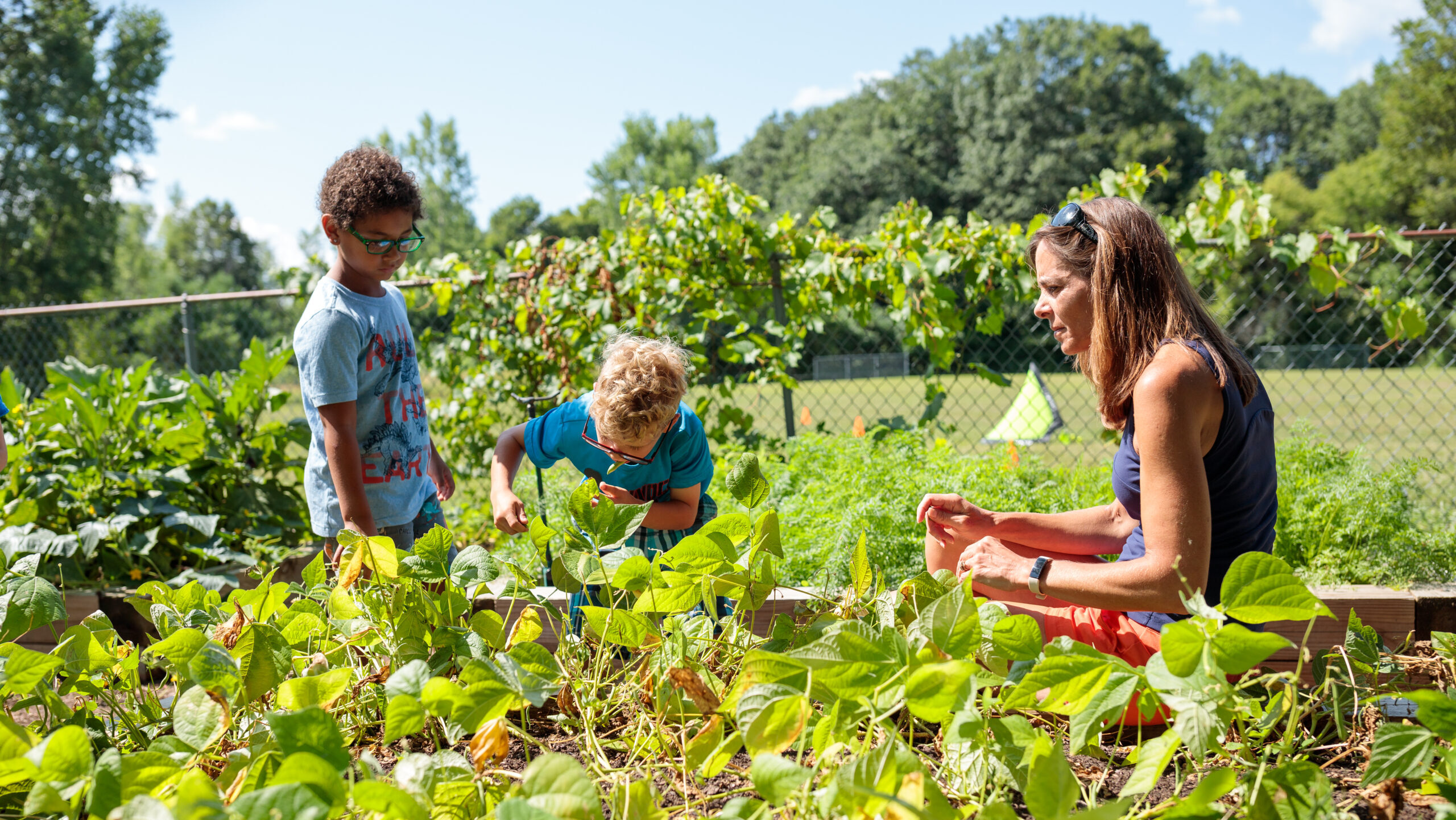 Two young boys and a female teacher in a vegetable garden